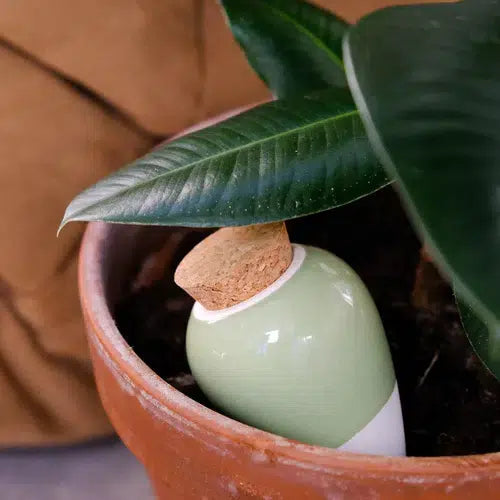 Pepin Olla – Vert Green (grøn selvvandingskrukke)