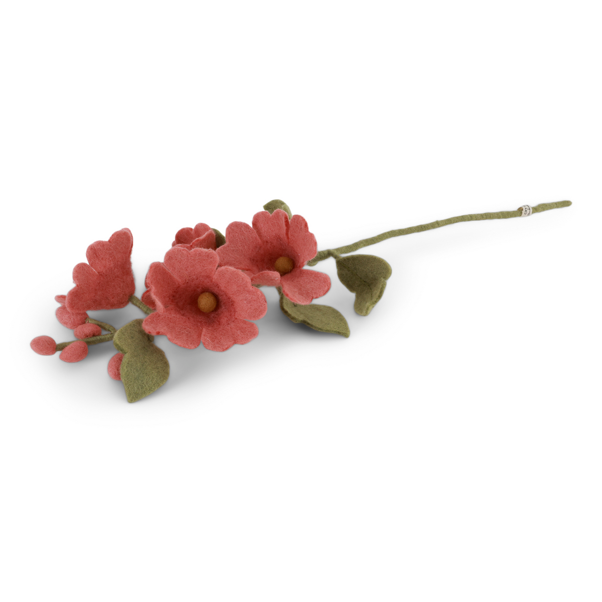 Stokrose – støvet rød