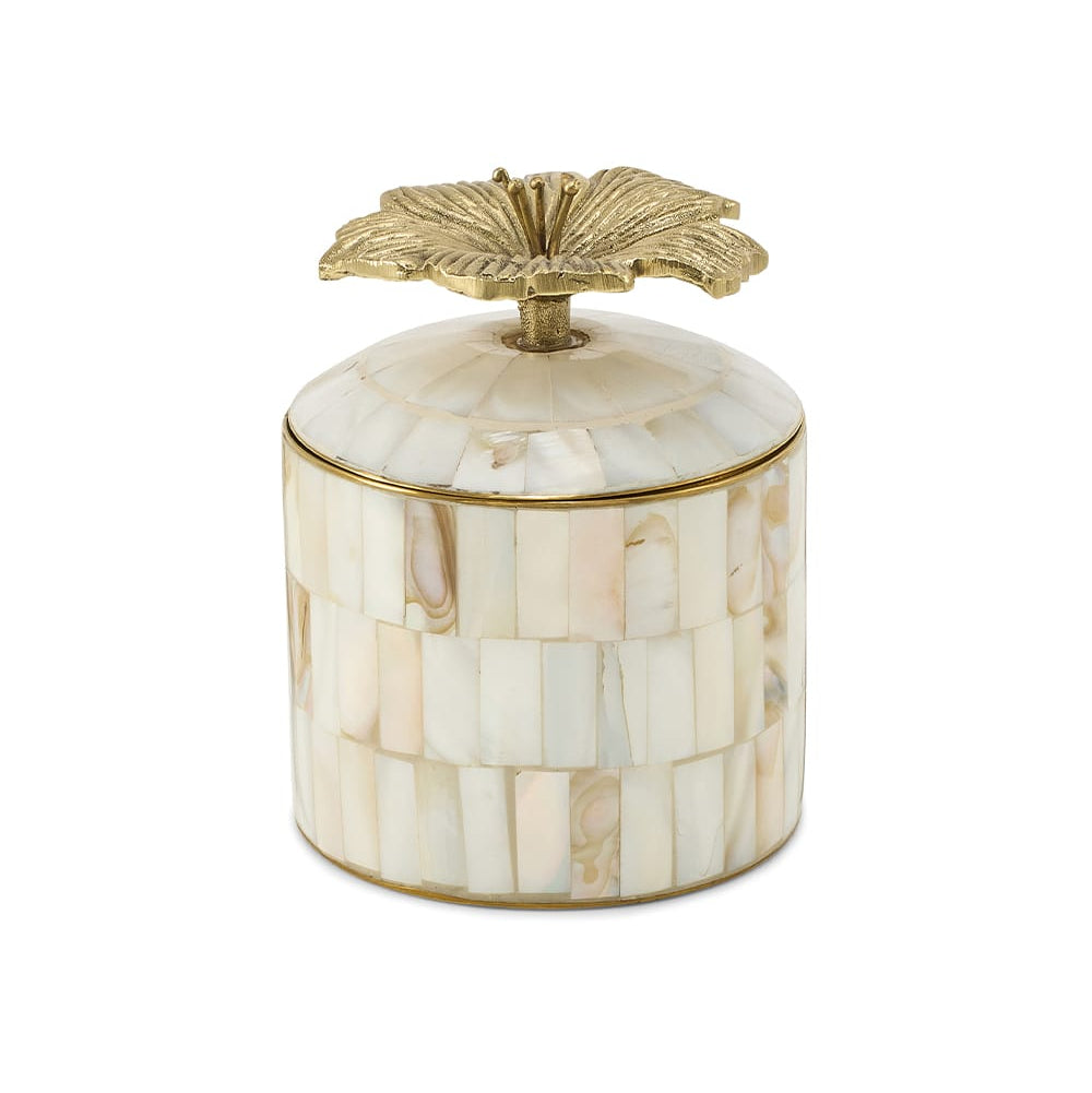 Circus Box - Hailey Hibiscus