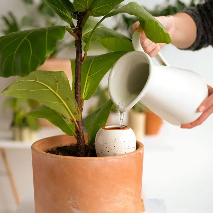 Pepin Olla – Blanc grainé (hvid selvvandingskrukke)