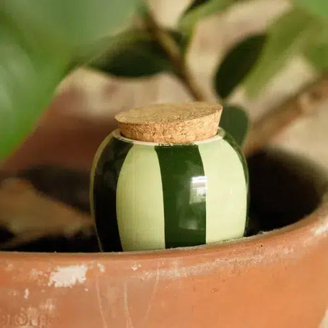 Pepin Olla Selvvandingskrukke – Rayé Vert et Vert (stribet grøn)