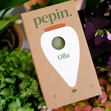 Pepin Olla – Vert Green (grøn selvvandingskrukke)