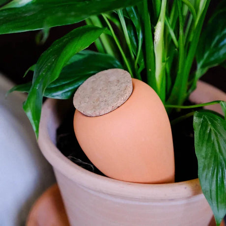 Pepin Olla selvvandingskrukke Terracotta ler