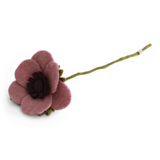 Fransk anemone – støvet rosa