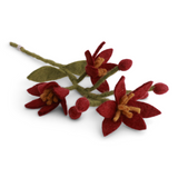 Nova-blomst – mørkerød