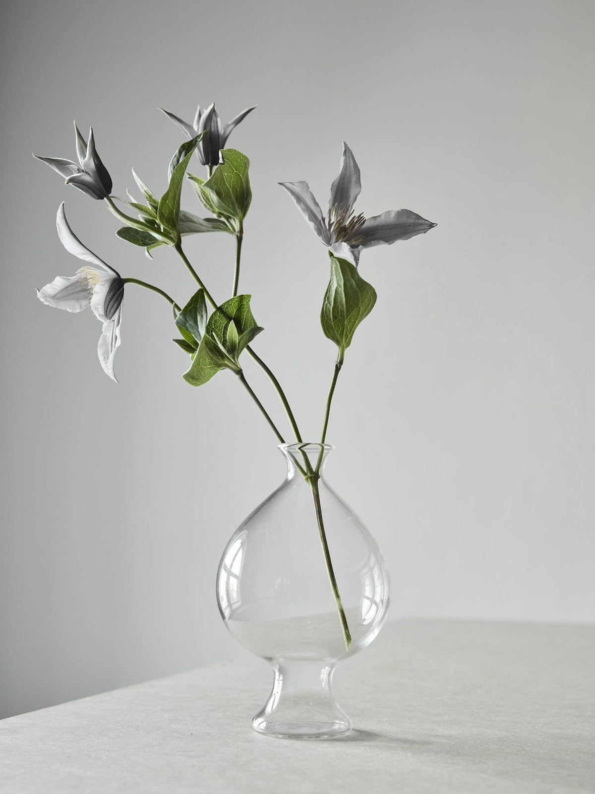 Tell Me More Como glasvase medium – transparent vase i borosilikatglas med tidløst nordisk design