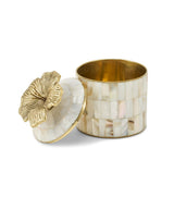 Circus Box - Hailey Hibiscus