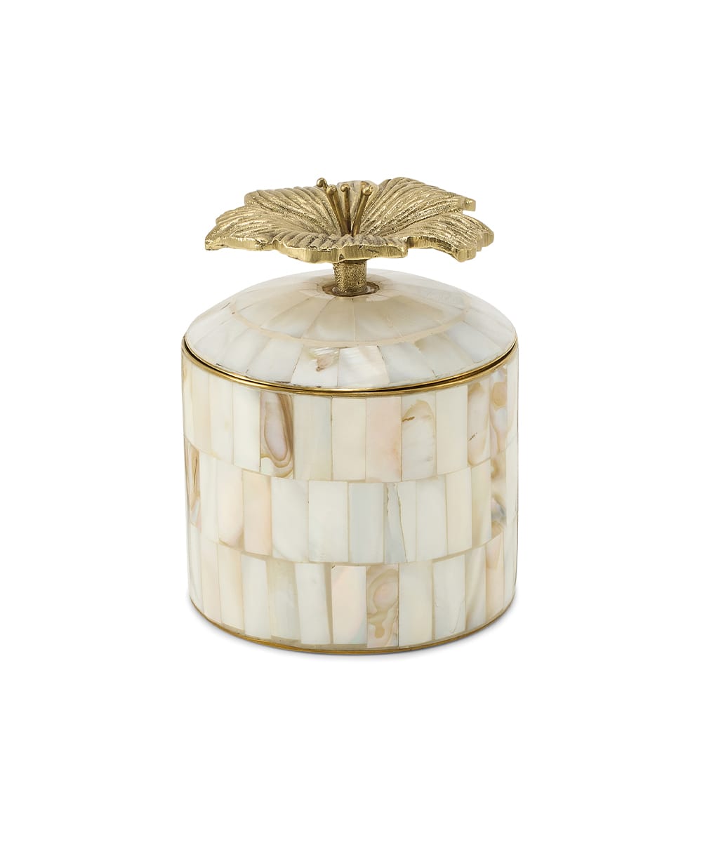 Circus Box - Hailey Hibiscus