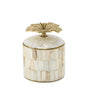 Circus Box - Hailey Hibiscus
