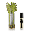 Ortigia Sicilia olieparfume rollon gaveæske limeduft