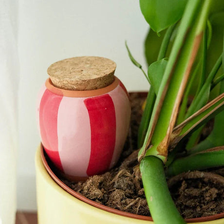 Pepin Olla selvvandingskrukke stribet rød og pink