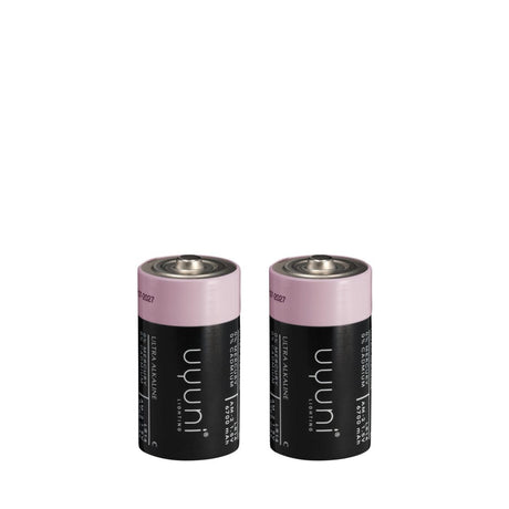 Uyuni Batteri C, 1,5V, 2 stk.
