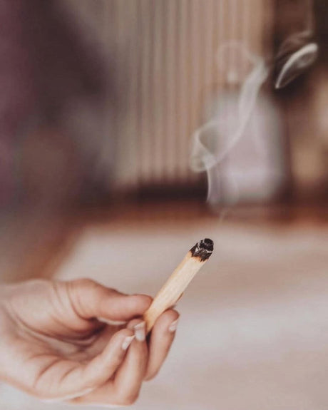Palo Santo – White Prairie Sage | Etisk høstet helligt træ