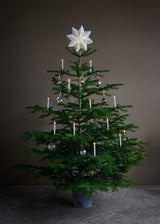 LED julestjerne i papir til juletræ og vindue, Vanilla, 7,5 x 30,5 cm