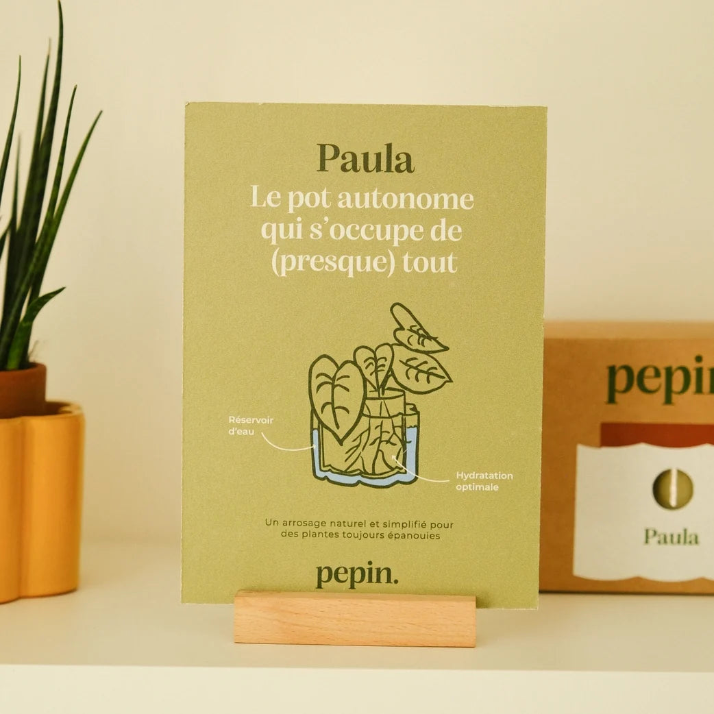 Pepin Paulita selvvandende urtepotte i Sage Green håndlavet i Portugal